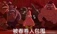 春卷人是什么意思？春卷人表情包