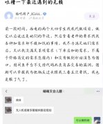 天临四年是啥？西电事变，改国号卢雷