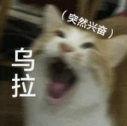 乌拉俄语是什么意思？乌拉表情包