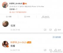 叶舒华为什么叫秀婷？她是中国人吗
