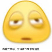 很喜欢文学什么梗？很喜欢XXX有一种XXX