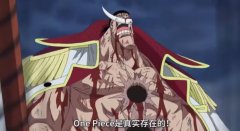 One Piece是真实存在的是什么意思?One Piece到底是什么东西？