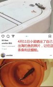 陈哲远官宣恋情了？陈哲远梁宝羚恋爱瓜怎么回事