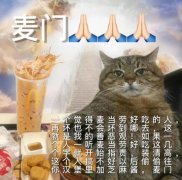 麦门是什么意思？什么梗？麦当劳表情包