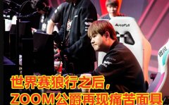 一级对线耀光船长什么梗？zoom痛苦面具表情包