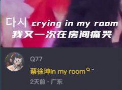 蔡徐坤in my room什么歌？什么意思？