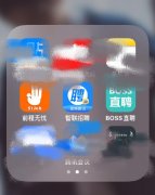前程堪忧,boss直拒,58不成,失联招聘表情包