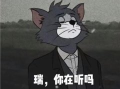 瑞你在听吗什么意思？系列表情包