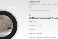 卡皮吧啦是什么意思？什么歌？