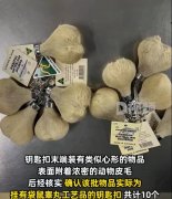 袋鼠睾丸工艺品竟然有这种用途，为什么有这种工艺品