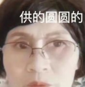 供的圆圆的什么意思，网络用语是啥意思