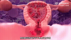 姨妈血是不是废血？女人经血的组成